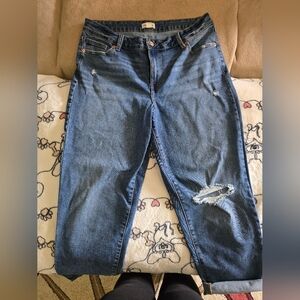 Maurices Blue Distressed Women Jeans. Only Wore Once